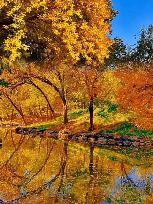 這裡美得令人驚嘆，景色實在太美了。