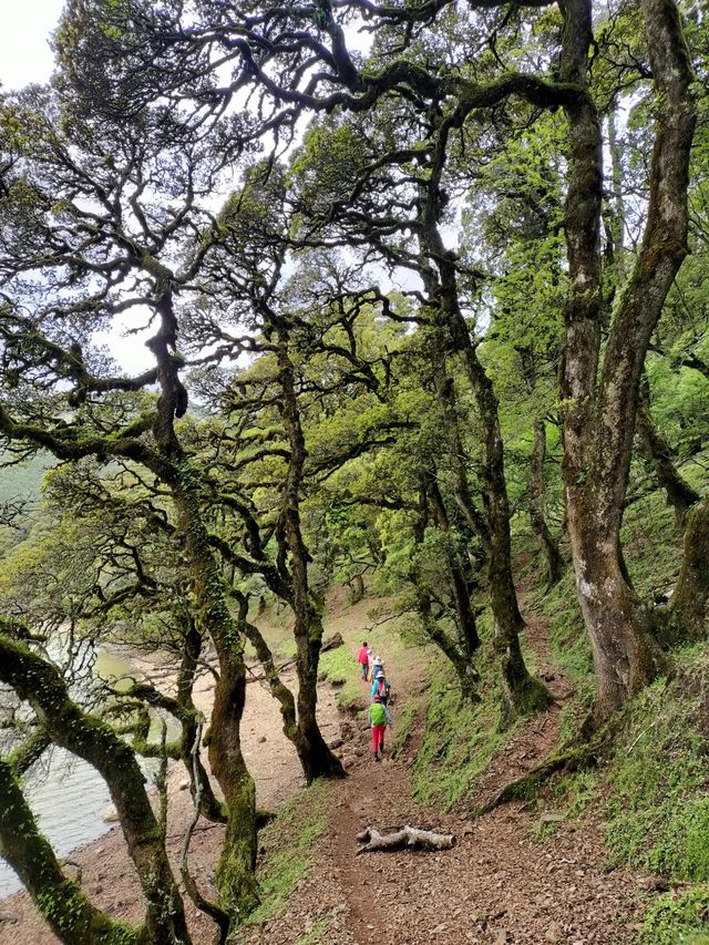 大理馬耳山雁池。