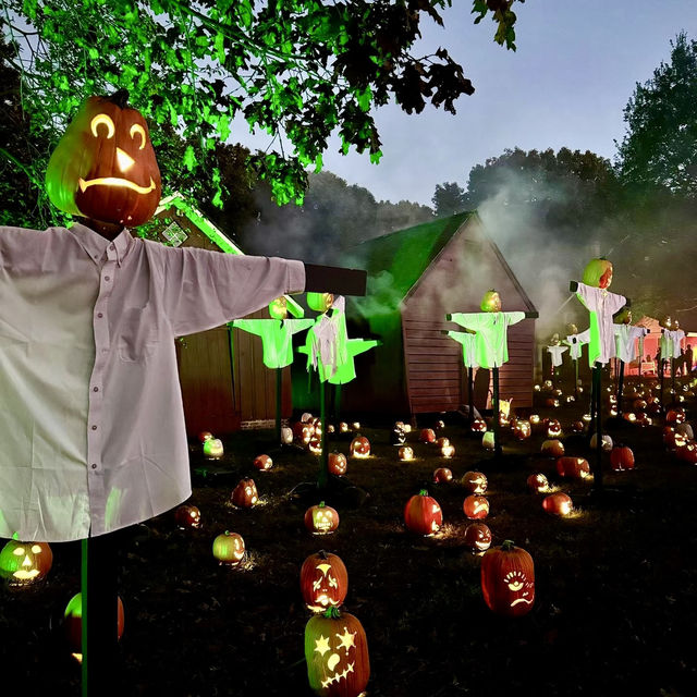 Spooky Halloween, apart from the common spooky decorations UK Edinburgh