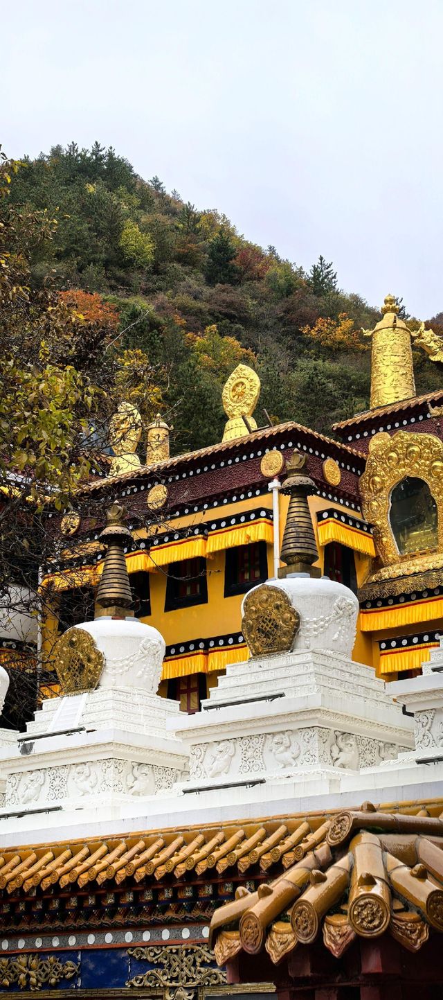 甘肅旅行指南。 甘肅旅行指南。