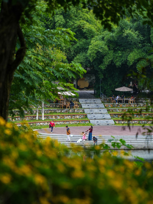 正當時！可以撿秋露營徒步的森林公園太寶藏。