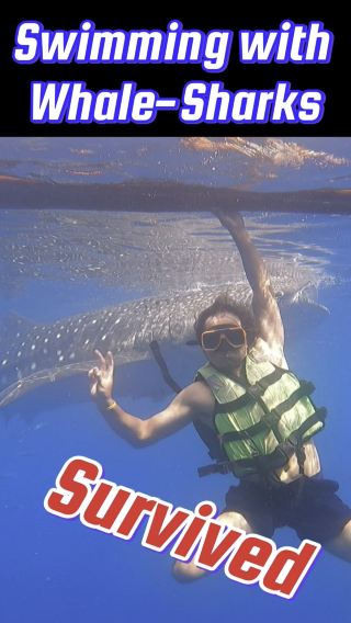 5 Tips for an Amazing WhaleShark Experience in Oslob