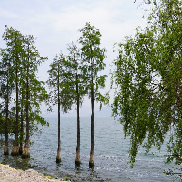 Erhai Lake