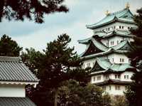 名古屋城—德川家康迷必游景点
