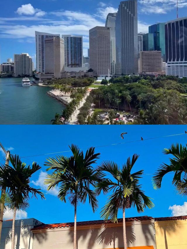 邁阿密｜夏天與回憶都在邁阿密閃耀。
