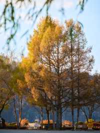 白山湖｜松花江上游的湛藍夢境。