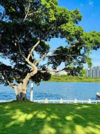 廈門真的看不厭系列之白鷺洲公園。