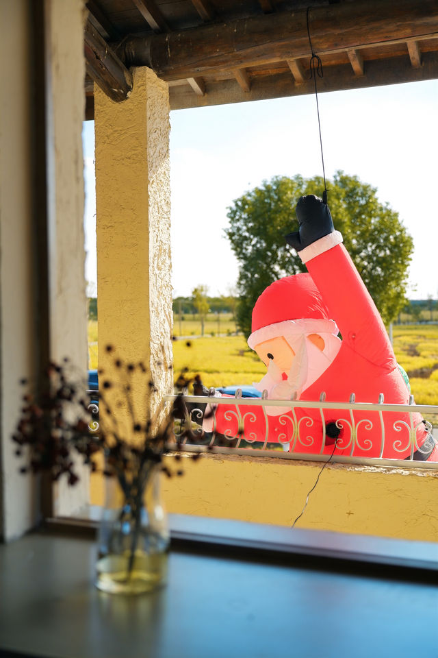 不敢相信上海也有喜洲版麥田就在李窯村。 不敢相信上海也有喜洲版麥田就在李窯村。