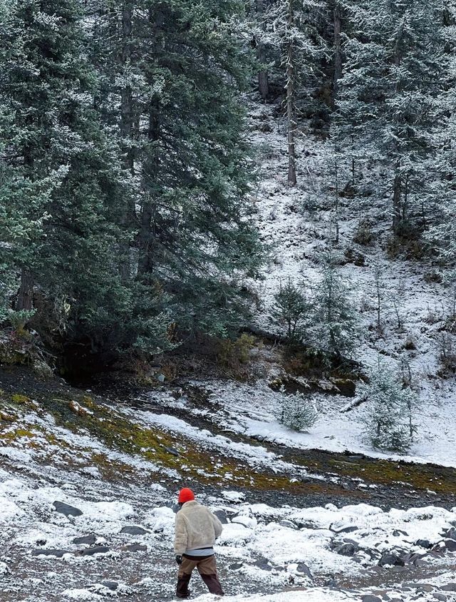 川西雪國夢境!甲根壩初冬風光太美了|。 川西雪國夢境!甲根壩初冬風光太美了|。