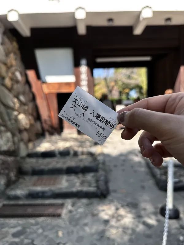 Exploring Inuyama: A Half-Day Trip from Nagoya