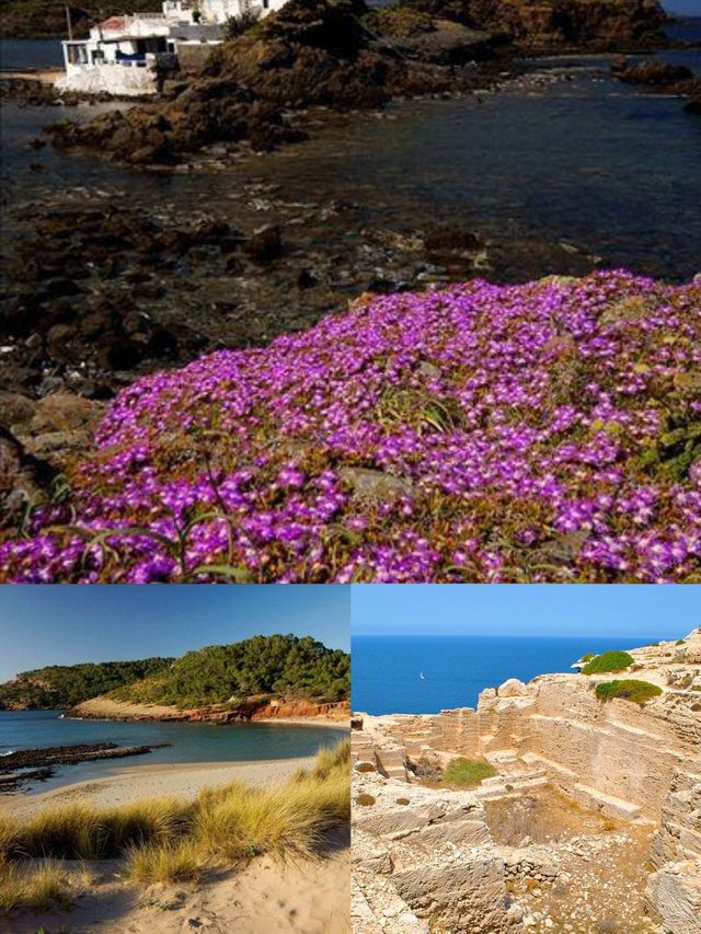 【梅諾卡島：地中海的蔚藍詩行】。
