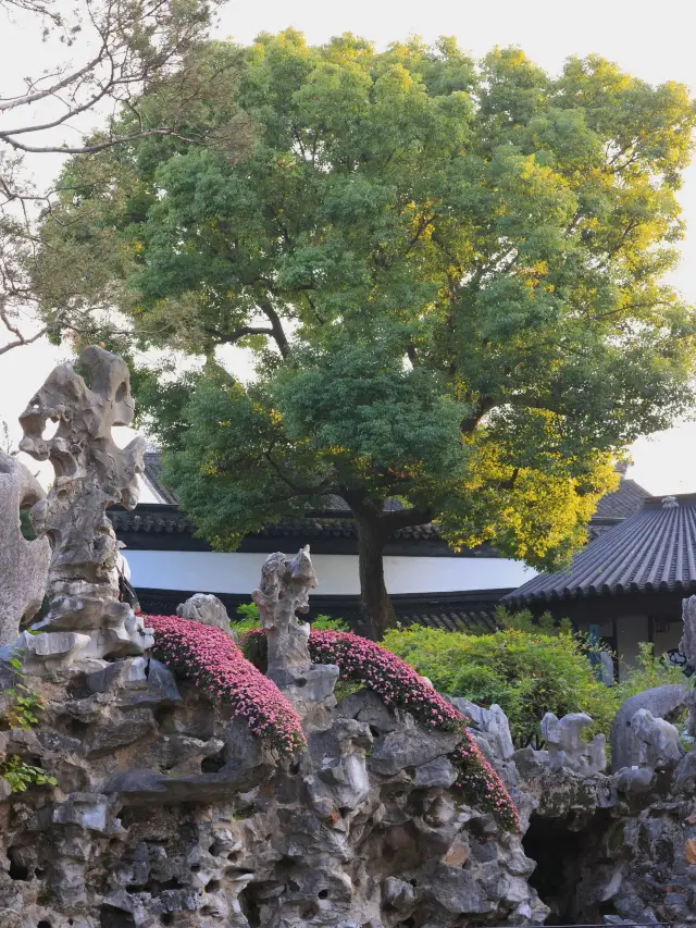 蘇州-烏鎮-杭州3日遊 看這篇就夠省錢又好玩