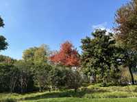 半馬蘇河2號公園