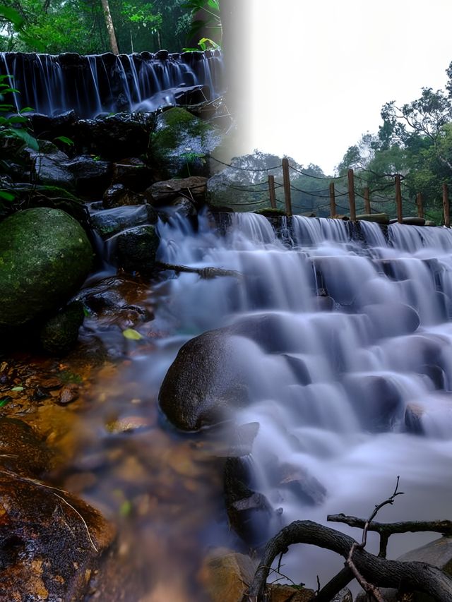 瓊島中行-百花嶺熱帶雨林|||