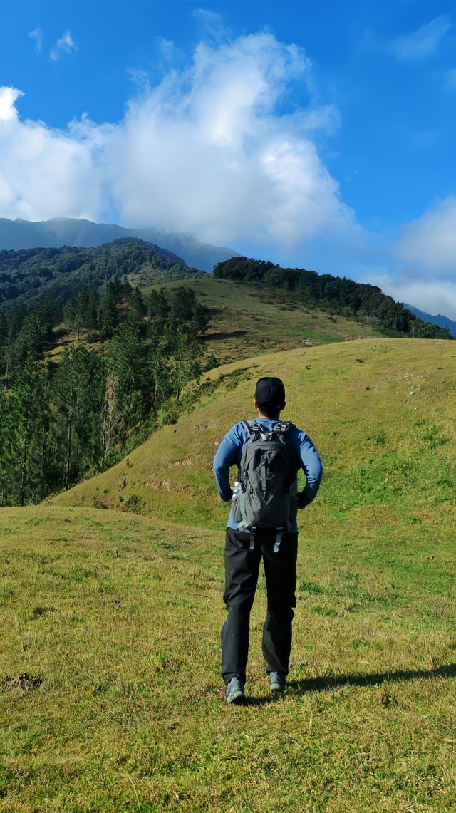 據說這裡的高山草甸獨屬海南·同款阿勒泰天花板