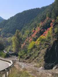 秦嶺峽口紅葉感受大自然的鬼斧神工