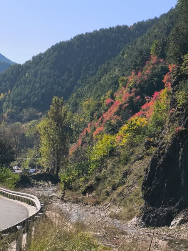 秦嶺峽口紅葉感受大自然的鬼斧神工