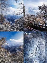 秦嶺超美雪季到了，你還不來