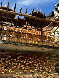 拜託大數據把這篇推給要去中國安徽黃山風景區等地的姊妹