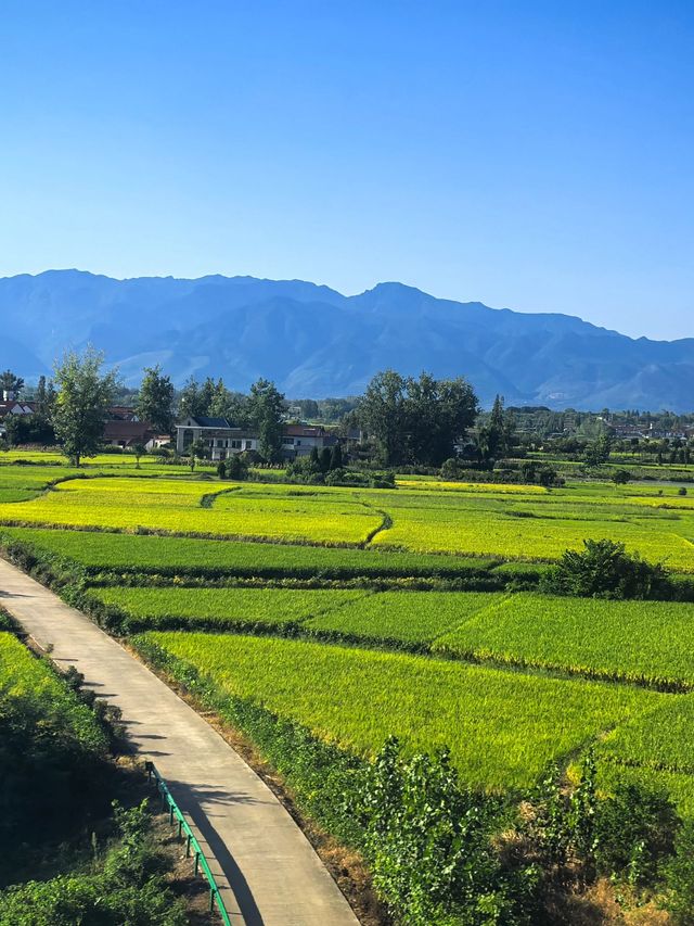 漢中跨年2日遊 玩轉冬日美景