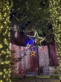 Experience the Magic of Canada's Wonderland's Winter Carnival