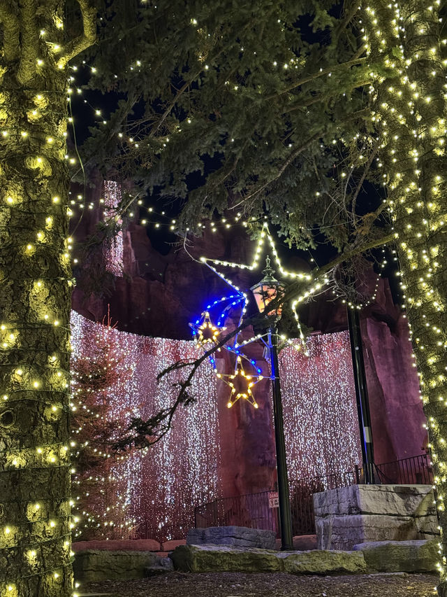 Experience the Magic of Canada's Wonderland's Winter Carnival