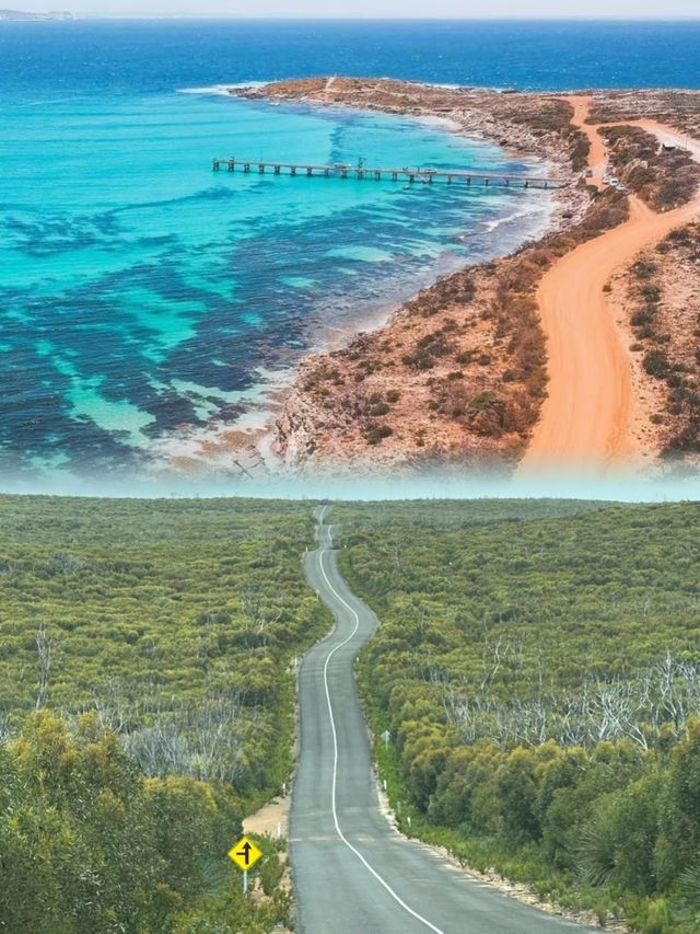 一定要來一次世界盡頭的袋鼠島
