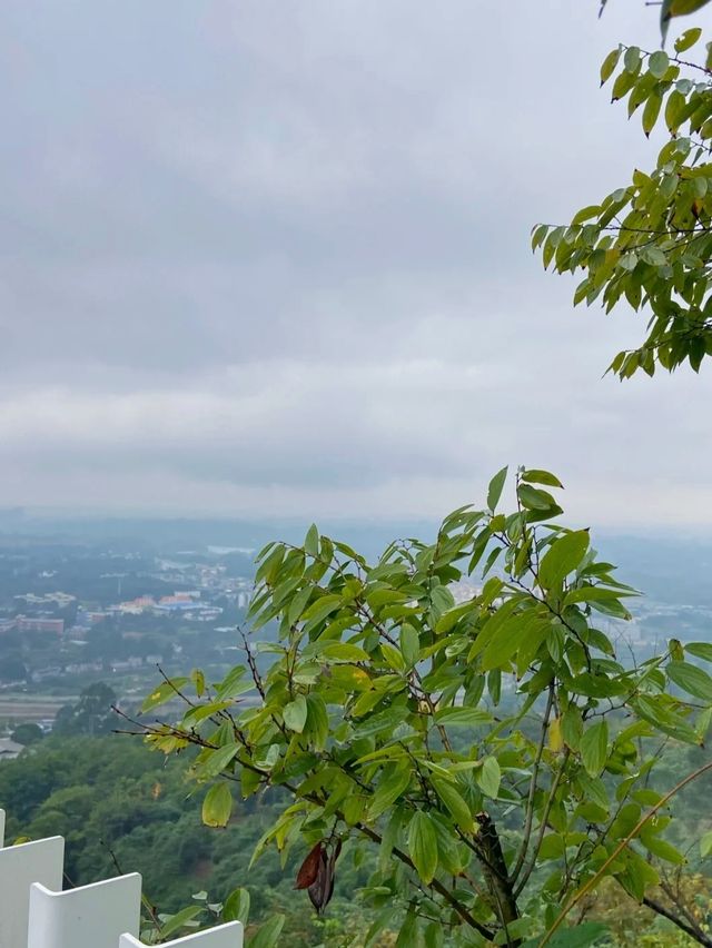 一腳踏進侏羅紀，梨木台奇觀太震撼！