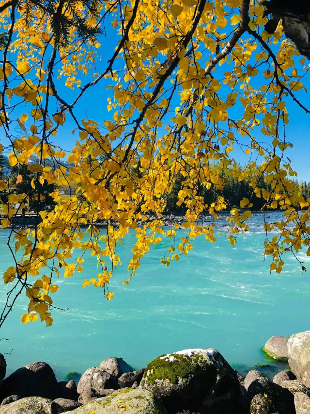 Altay 3-Day Tour: Popular Attractions All in One Place