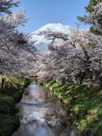 8天暢遊日本 盡享溫泉之旅