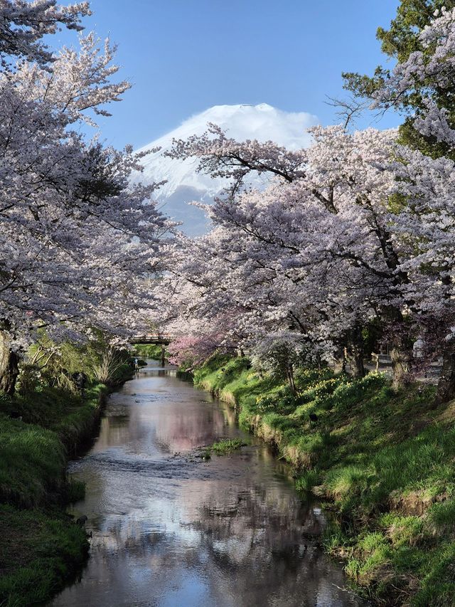 8天暢遊日本 盡享溫泉之旅
