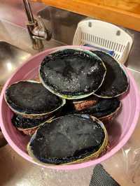 黑金鮑|新西蘭免費趕海地匯總。