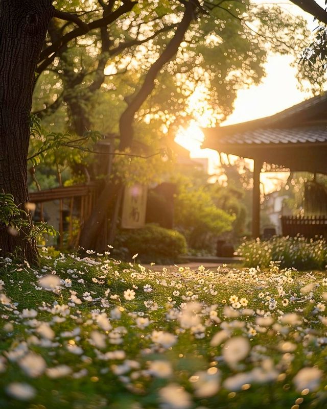 別人都說我在國外，其實這是寧波四明湖