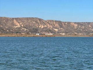 Weinan Qiachuan Virgin Spring | A large reed marsh