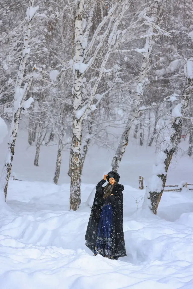 新疆禾木｜落雪成詩，芳華盡收