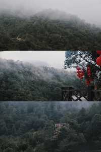 莆田這週末去哪兒