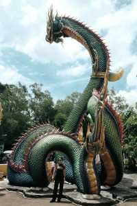 泰國最美寺廟之一🐉罕見的雌雄娜迦