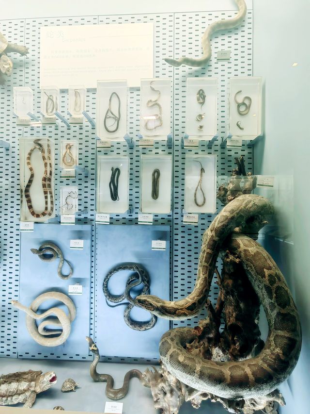 浙江自然博物館②  豐富奇異的生物世界