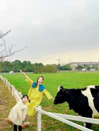 成都出發1h ｜餵奶牛餵小動物 遛娃…