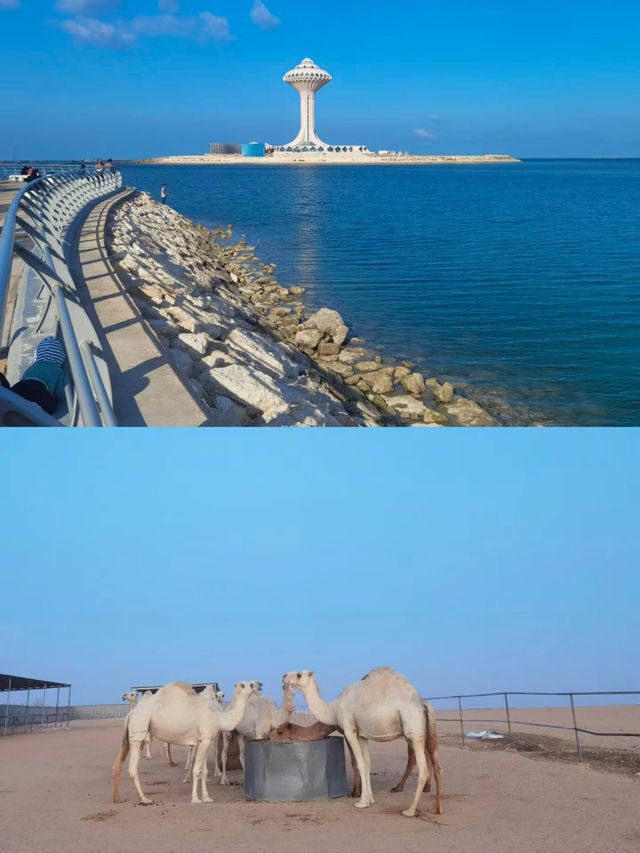 沙特阿拉伯達曼