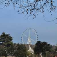 宜興龍背山森林公園拍照