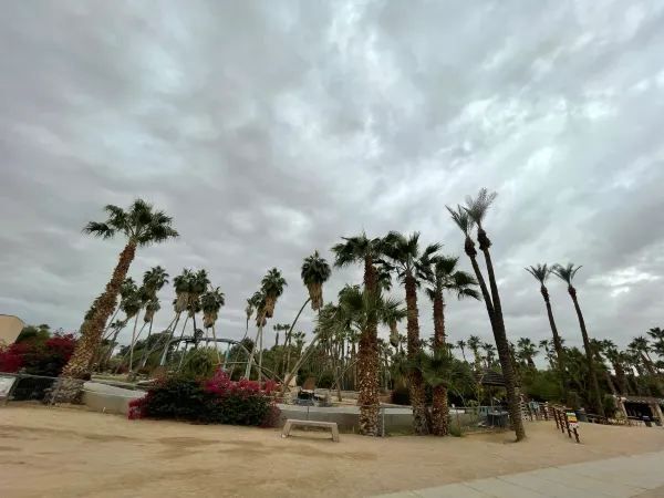 Explore the Phoenix Zoo