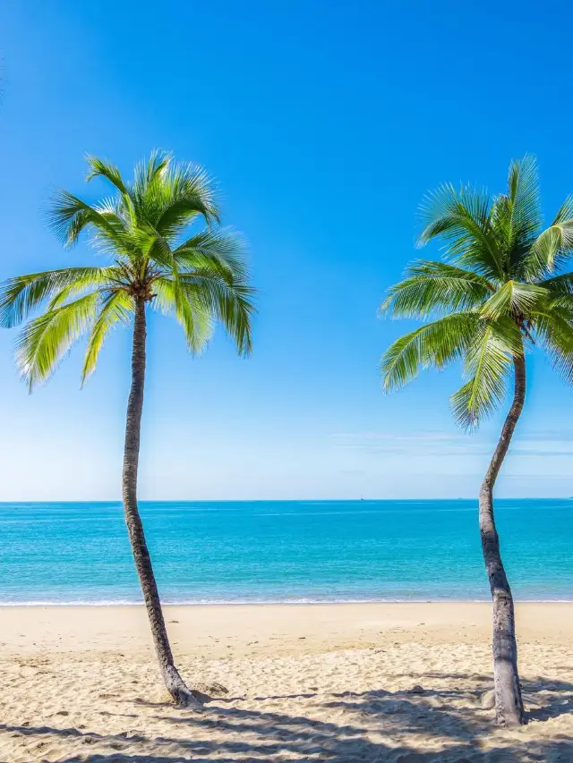 4-Day Sanya Itinerary for Lunar New Year