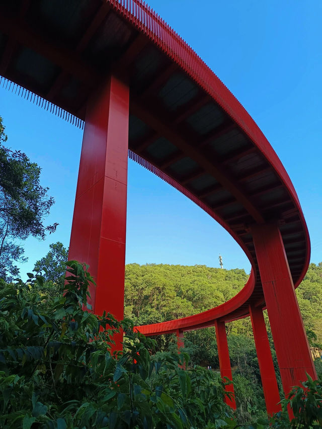 #深圳市虹橋公園之美