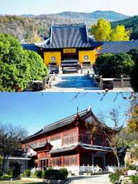 淮南已回，我的建議是…