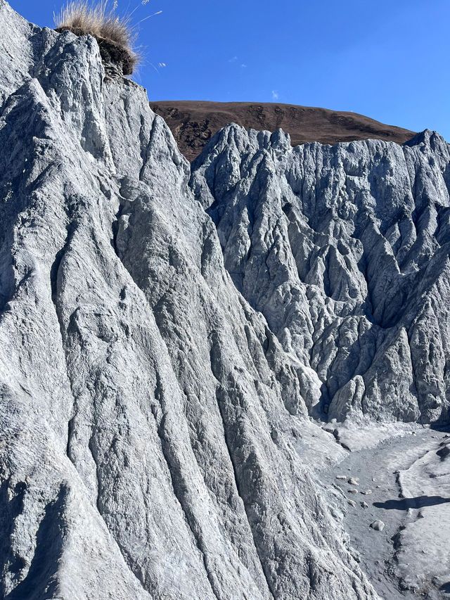 四姑娘山-魚子西4日遊 揭秘必玩景點與旅行小貼士