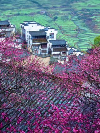被聯合國評為世界最佳旅遊鄉村有多絕
