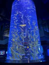 廣州海洋館親子遊全攻略