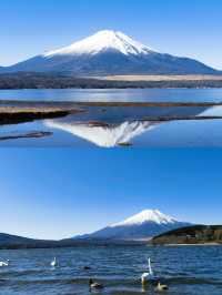 日本三島市：隱匿喺山海間嘅小眾寶藏