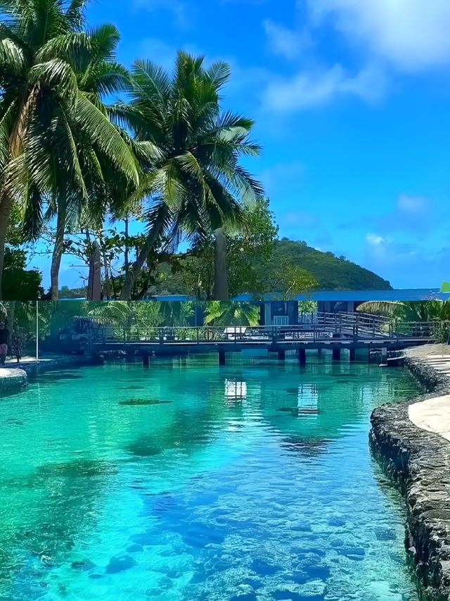 斐濟秘境·馬洛洛島：碧海藍天，悠然之旅